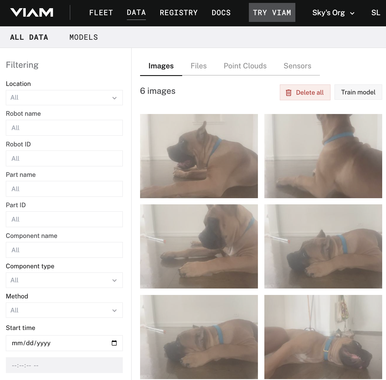 Filtered data from the custom colorfiltercam in the DATA tab showing only photos of a dog wearing a blue collar